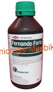 Fernando Forte 300EC 1l